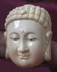 Ivory Buddha head - Chinese? 20th C